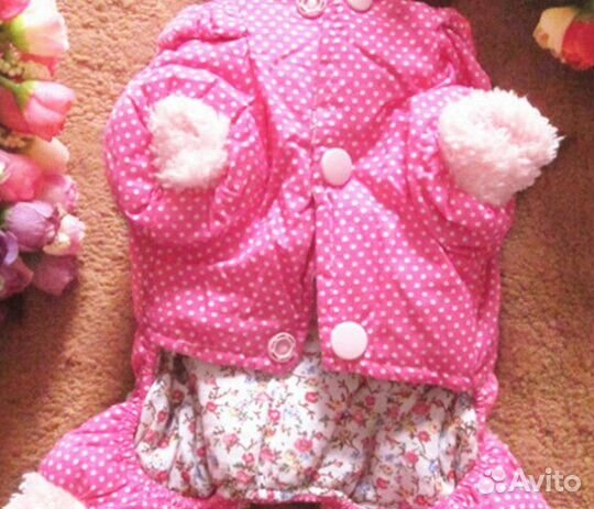 Комбинезон на мини собачку