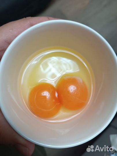 Домашние куриные яйца
