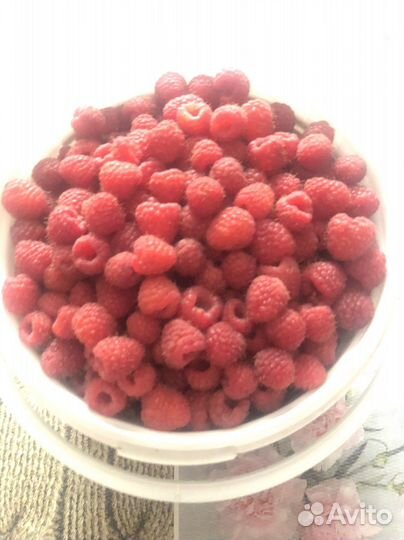 Продам малину