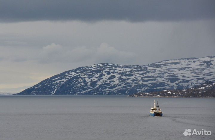 Мурманск Топ-Экскурсия Териберка и морская прогулк