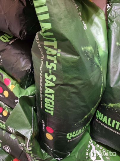 Мятлик луговой Балин многолетний Германия