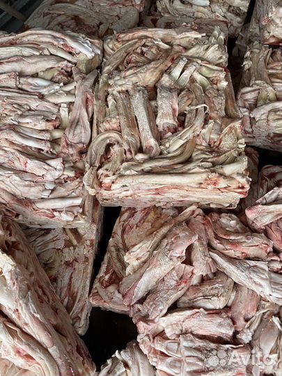 Ахиллова сухожилия корм для собак(животных)