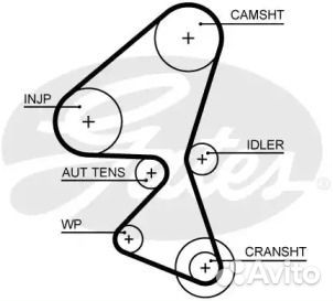 Ремень грм 5656XS