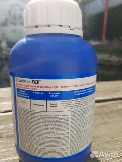 Строби, Строби Тек