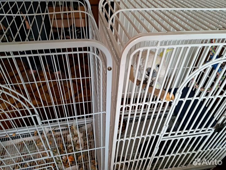 Клетка для крупного попугая