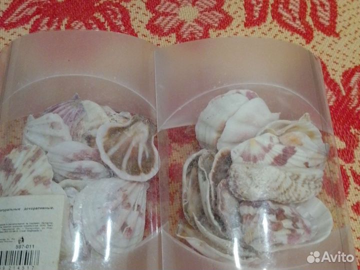 Ракушки для декора