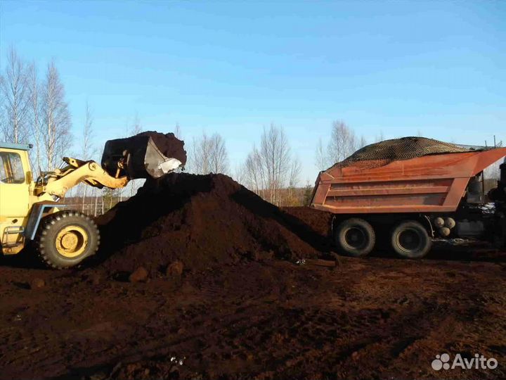 Чернозем