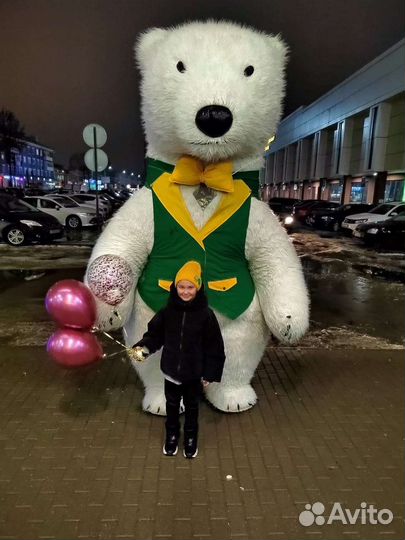 Праздники мероприятия, экспресс поздравление мишка