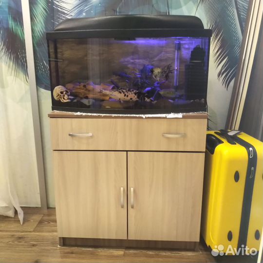 Аквариум с тумбой 120 литров