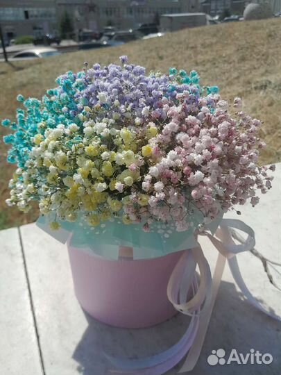 Цветы гипсофила