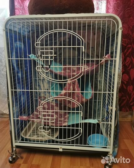 Клетка Triol c2-1