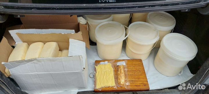 Сыр сулугуни