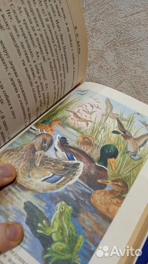 Книга детская сборник Чёрная курица для детей