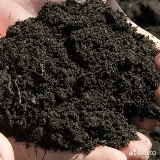 Земля четырёх компонентная