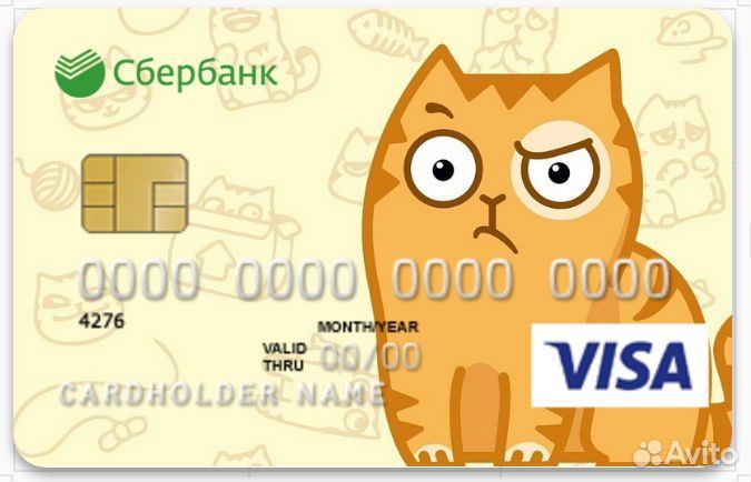 Оплата товаров и услуг за рубежом Visa PayPal