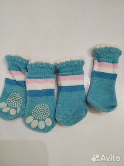 Одежда для маленьких собак