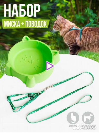 Новый набор для кошек, миска+ поводок