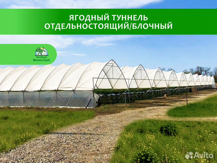 Ягодный туннель (промышленный)