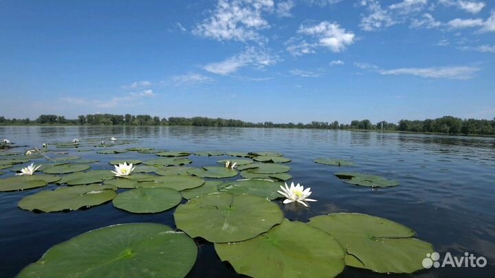 Аренда катера. Прогулки по Волге на лодке. Рыбалка