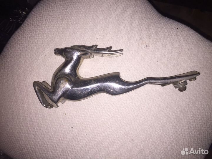 Олень на Волгу 21