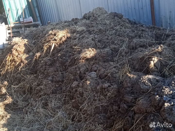 Навоз коровий