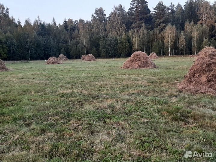 Продам сено