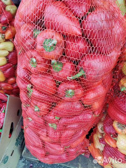 Перец болгарский