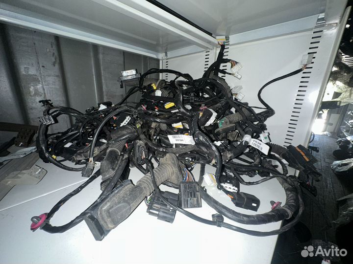 Проводка дверная Kia Rio 4/Rio X-Line/Solaris 2