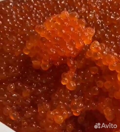 Красная икра форели загородный дом