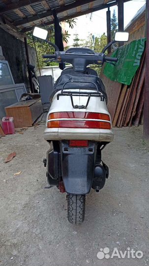 Хонда такт 24