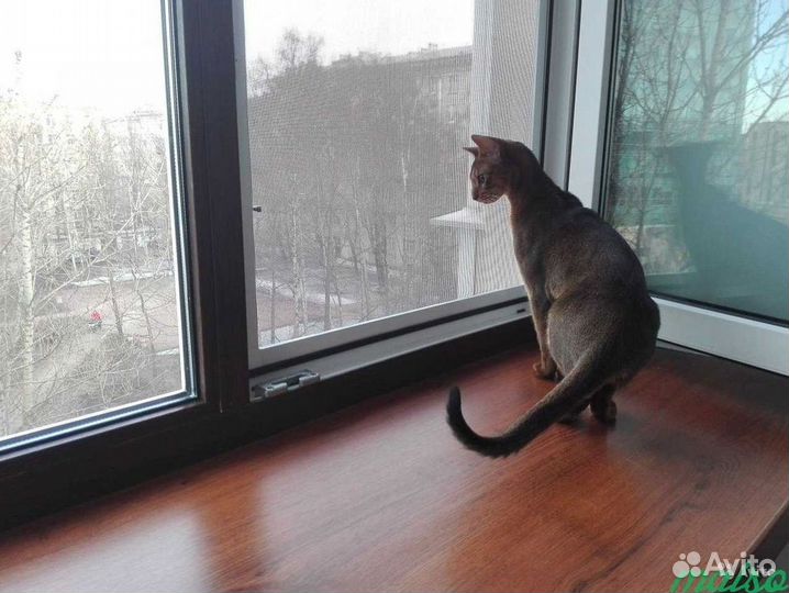 Пластиковые окна остекление под заказ