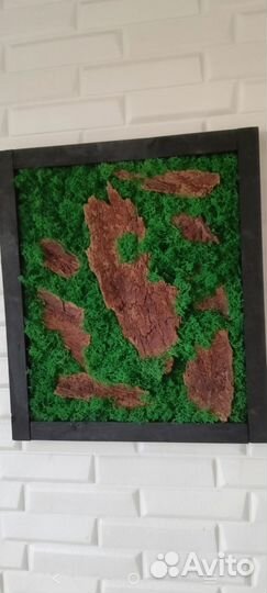 Мох.Картины со стабилизированным мхом и корой