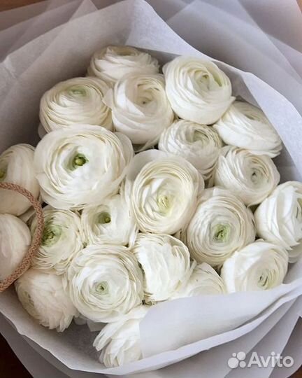 Ранункулюсы букет