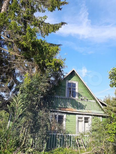 Участок 6,6 сот. (СНТ, ДНП)