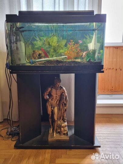 Аквариум