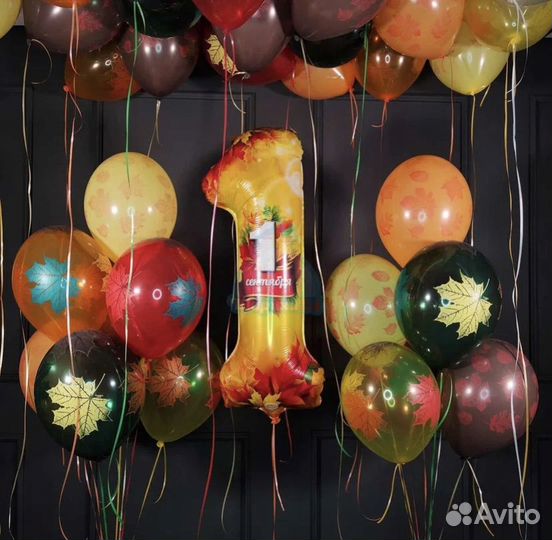 Шары на 1 сентября