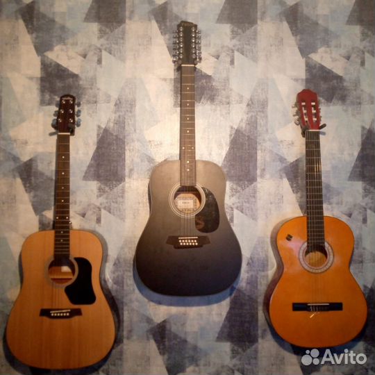 Акустические гитары Walden, Fabio, Veston