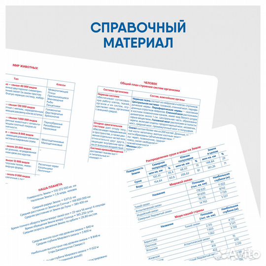 Набор предметных тетрадей 48 листов. 12 штук