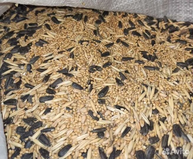 Новые клетки.Сепия.Корм канареек.Инкубатор для яиц