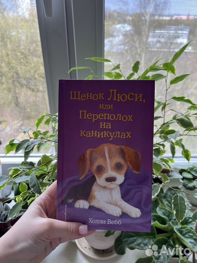 Книги холли вебб щенки