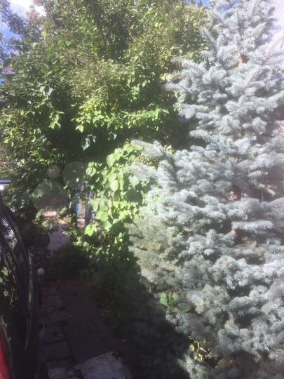 Дача 36 м² на участке 3 сот.