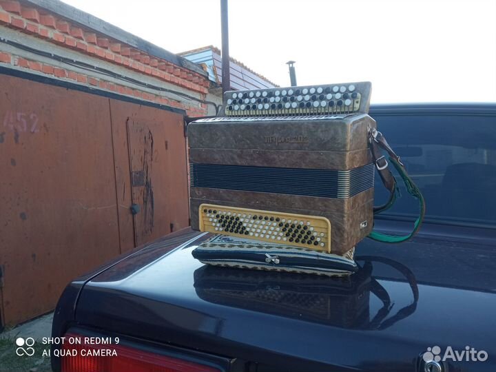 Баян тула 202