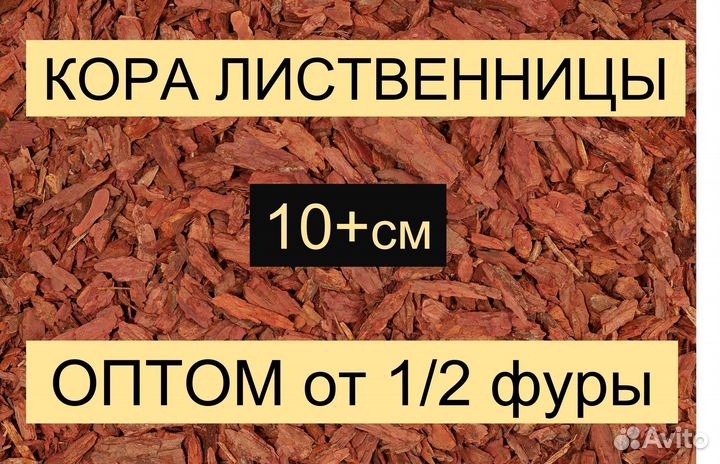 Кора сибирской лиственницы большая более 10 см Опт