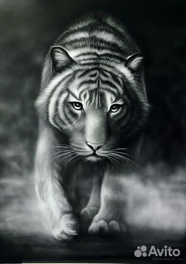 Аэрография на авто,роспись стен и других поверхнос