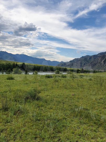 Участок 80 сот. (СНТ, ДНП)