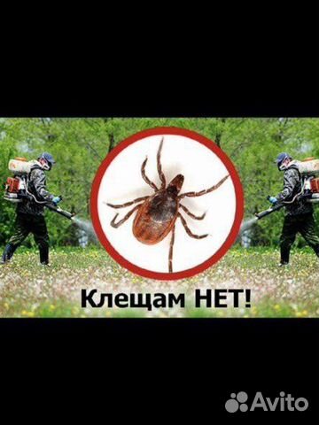 Обработка от клещей