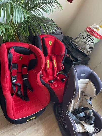Автокресло аренда