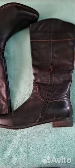 Сапоги женские натуральная кожа демисезонные