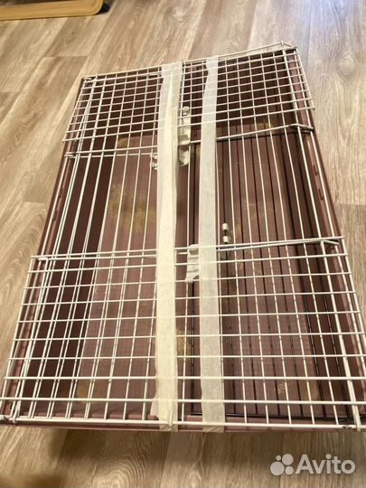 Клетка для грызунов ferplast