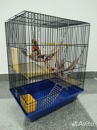 Новые клетки для крыс,хомяков